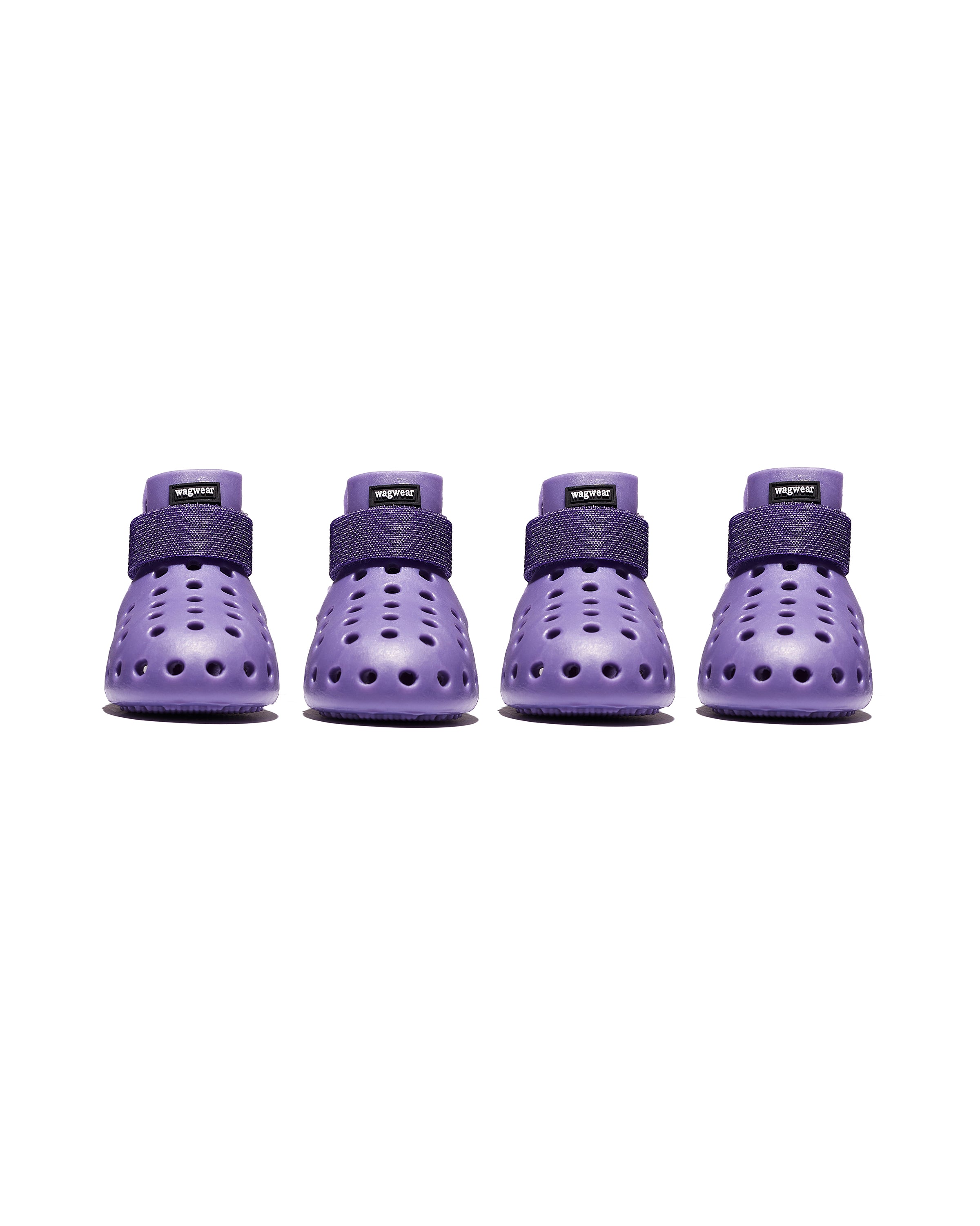 Purple Wagwellie Mojaves