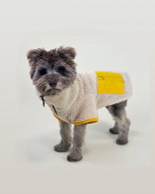 Monkey fleece jacket in natural with yellow pocket on dog model