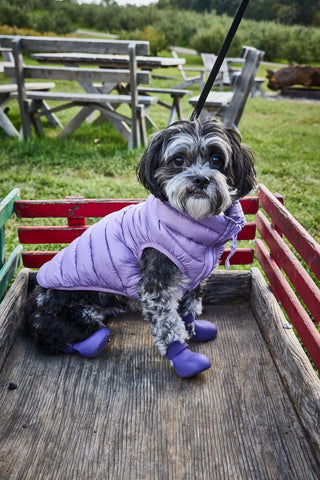 model in purple puffer vest and purple wagwellies