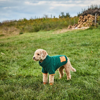 Green Monkey Fleece on a medium dog