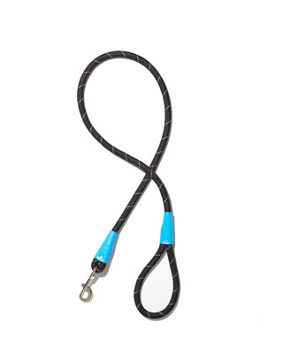 color block leash in black and cobalt