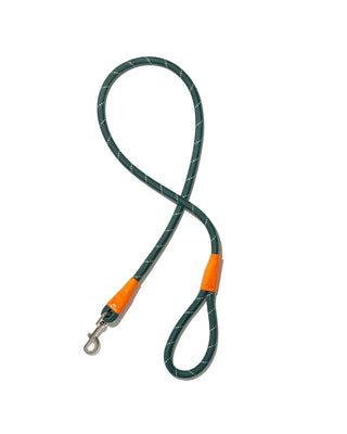 color block rope leash in green and orange