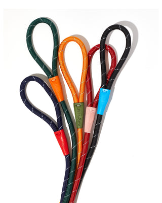 color block rope leash in multiple colors
