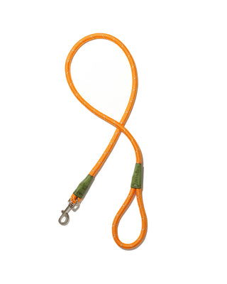 color block leash in orange and olive
