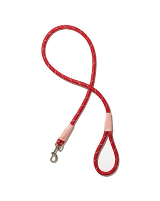 color block rope leash in red and pink
