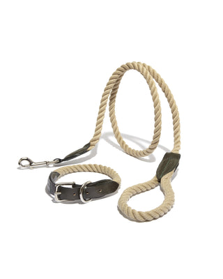 leather and rope leash and collar in olive