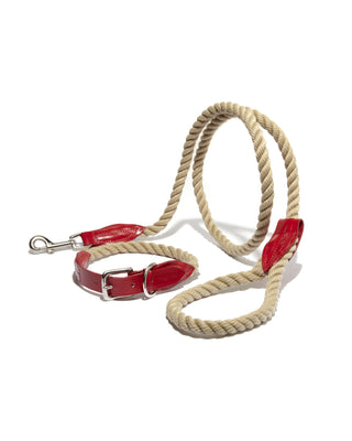 leather and rope collar and leash in red