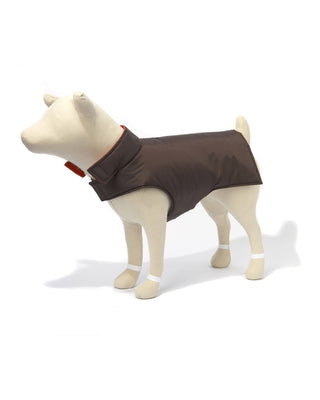 mannequin dog in chocolate ski vest