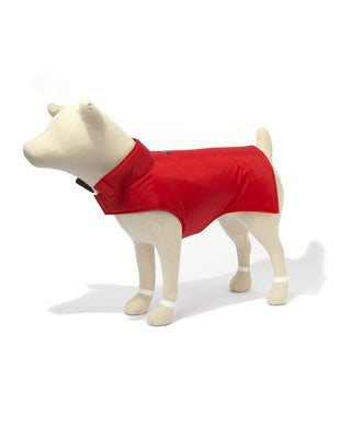 mannequin dog in red ski vest