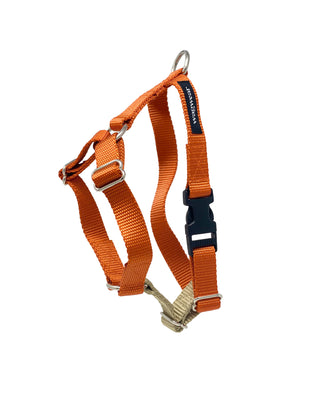 contrast nylon harness in orange and tan