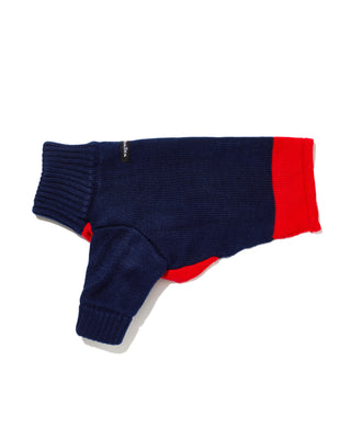 rugby dog sweater in navy and red