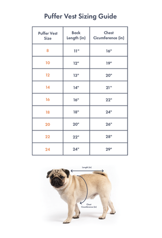Dog size chart 
