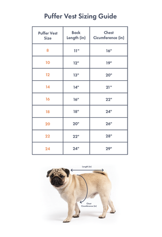 Dog size chart