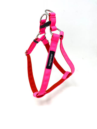 Cordura Step-In Harness
