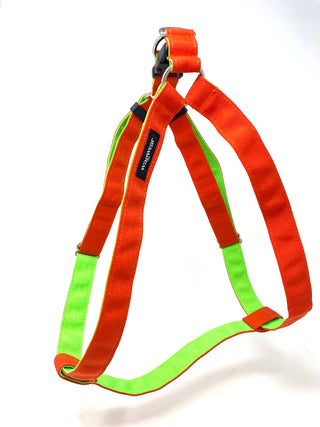 Cordura Step-In Harness