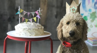 The Ultimate Dog Birthday Cake