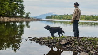 Dog in Volt WagWellies SPORT boots and matching SPORT leash at the water's edge