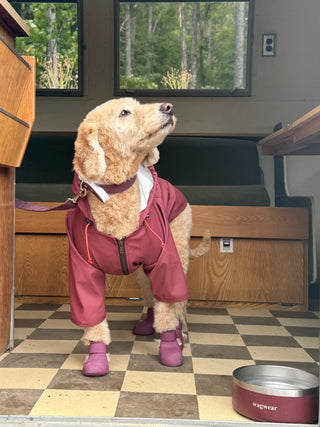 PU Rainbreaker Dog Raincoat