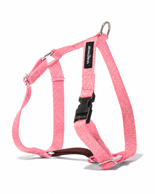 Nylon Metro Harness