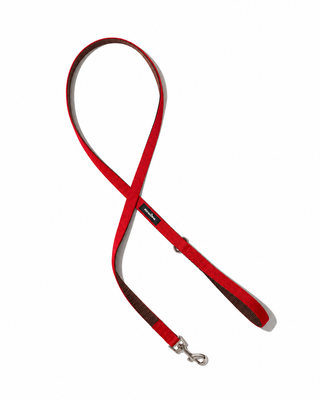 Field Leash