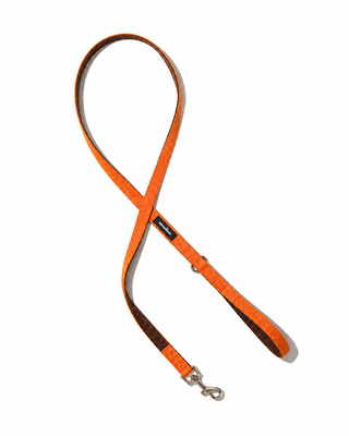Field Leash