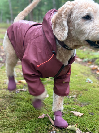 PU Rainbreaker Dog Raincoat