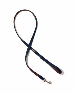 Field Leash
