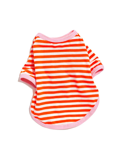 Classic Stripe Tee (NEW)