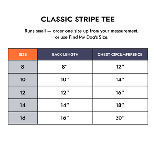 Classic Stripe Tee (NEW)
