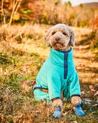 NEW Fleece Pull-Over