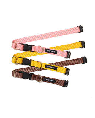 wagwear for Fi collar