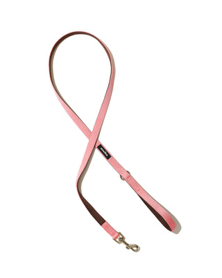 Field Leash