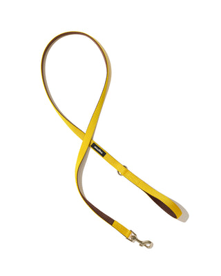 Field Leash