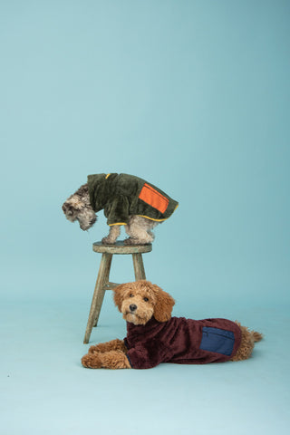 olive fleece zippy with orange pocket on dog model and burgundy fleece zippy with navy pocket on dog model