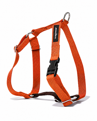Nylon Metro Harness