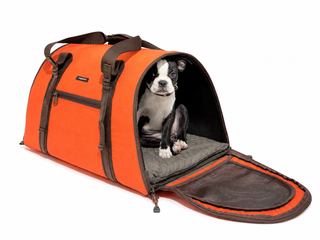 Travel Carrier
