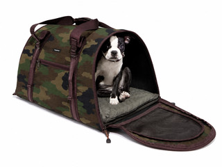 Travel Carrier