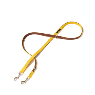 Nylon Metro Leash