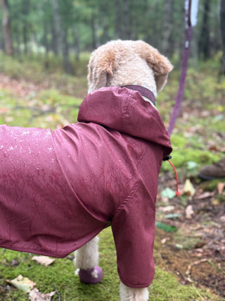 PU Rainbreaker dog raincoat detail