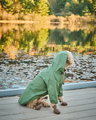 PU Rainbreaker Dog Raincoat