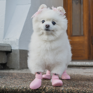 WagWellies® by wagwear