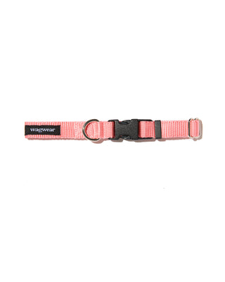 Nylon Metropolitan Leash - Pink & Yellow