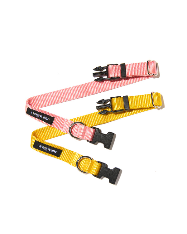Nylon Metropolitan Collar - Pink & Yellow