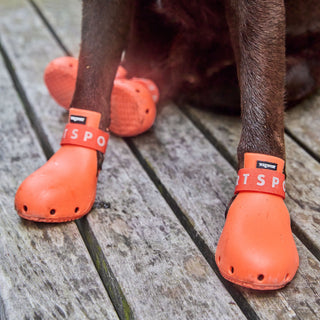 WagWellies® Sport