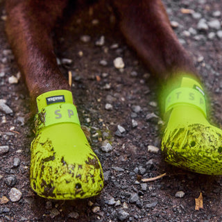 WagWellies® Sport