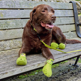 WagWellies® Sport