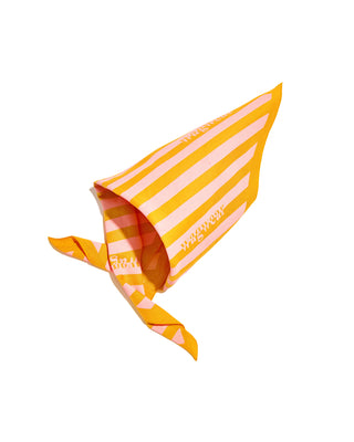 Stripe Bandana