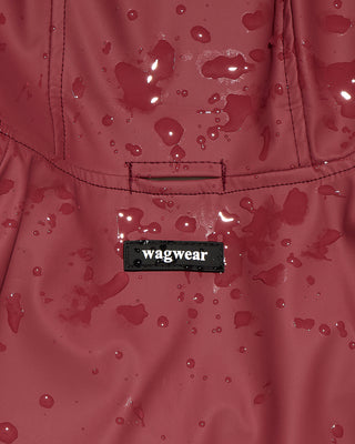 Dog wearing the wagwear PU Rainbreaker raincoat