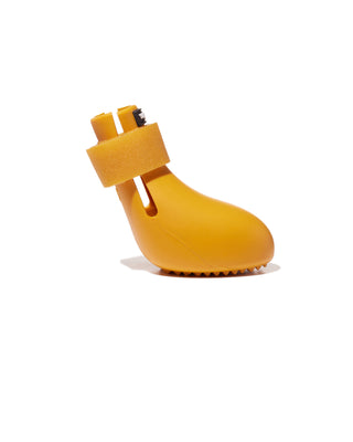 WagWellie® Single