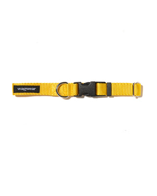 Nylon Metropolitan Leash - Pink & Yellow